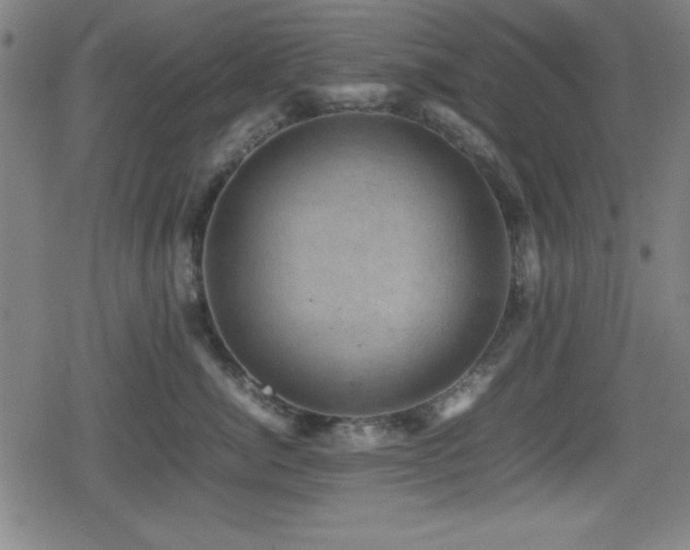 X0000078860764200611131203