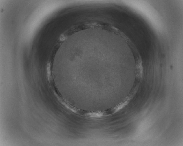 X0000078860765200611131203