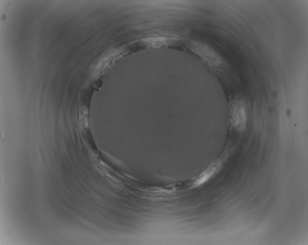 X0000078860766200611131203