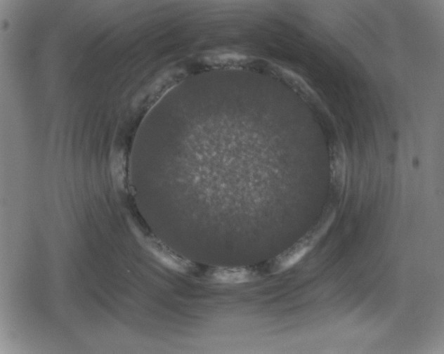 X0000078860767200611131203