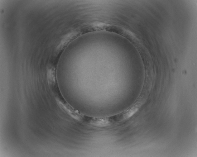 X0000078860768200611131203