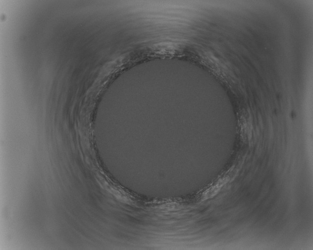 X0000078860769200611131202