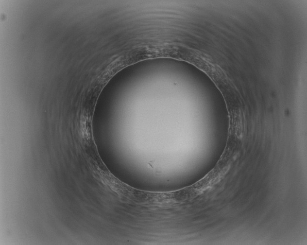 X0000078860770200611131202