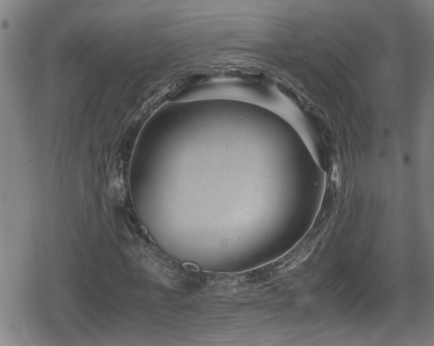 X0000078860771200611131202