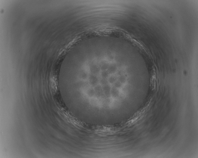 X0000078860772200611131202