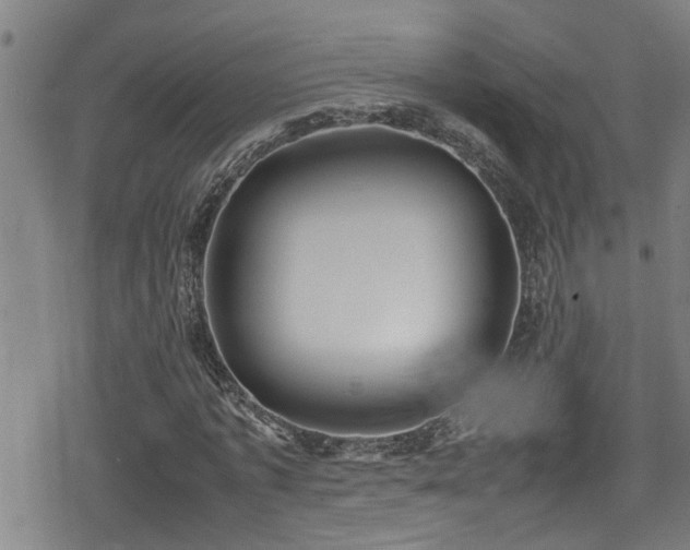 X0000078860773200611131202