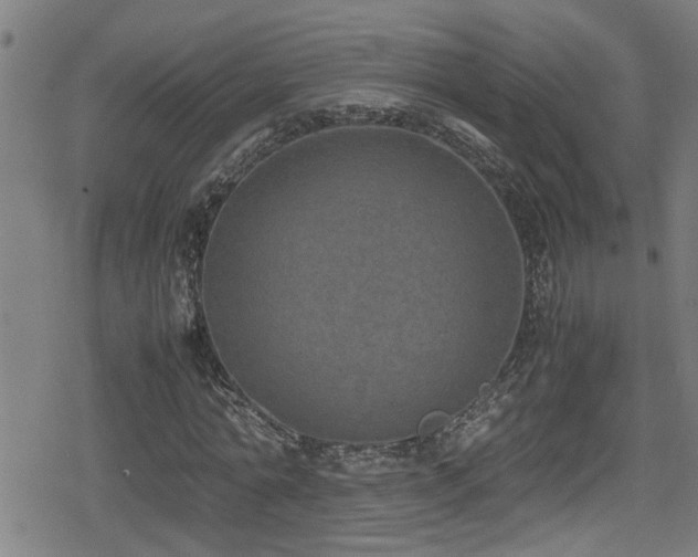 X0000078860774200611131202