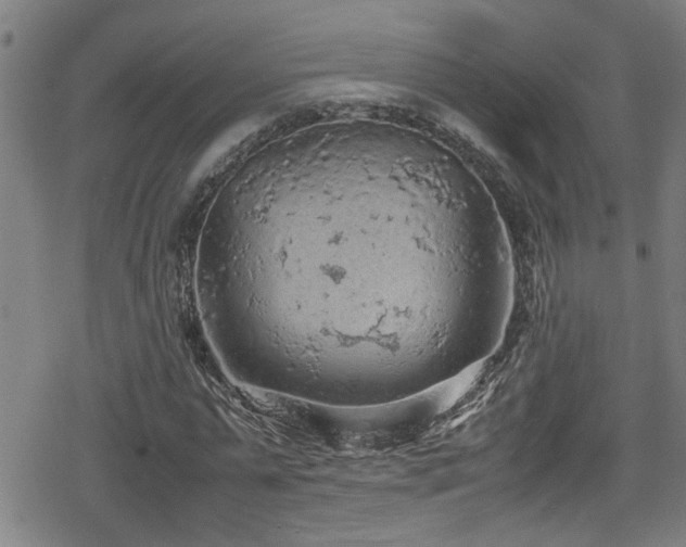 X0000078860775200611131202