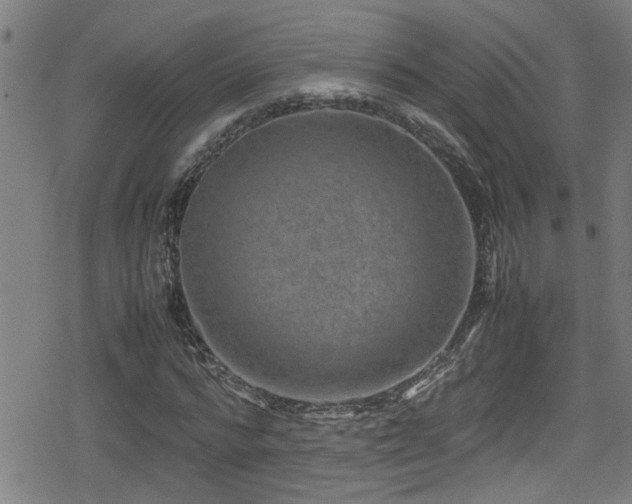 X0000078860776200611131202