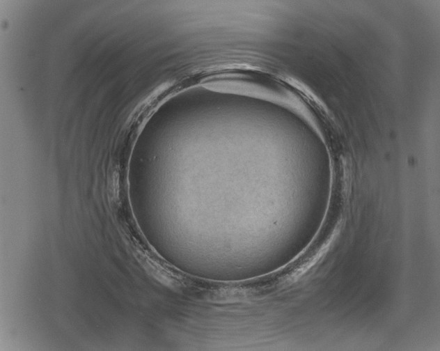 X0000078860777200611131202