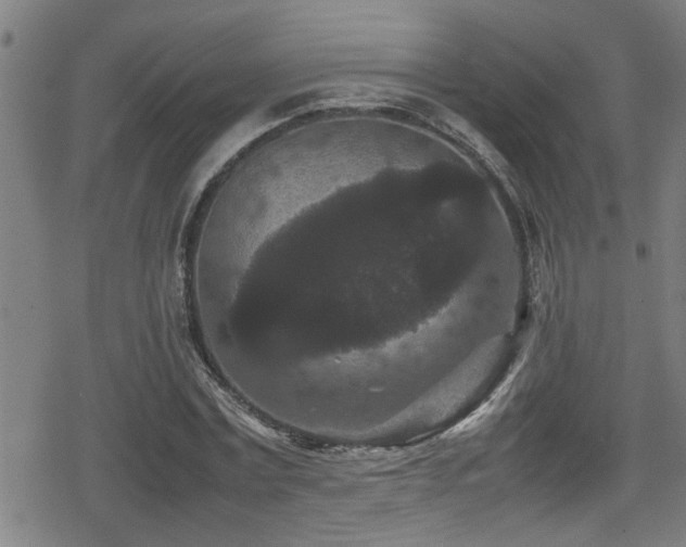 X0000078860779200611131202