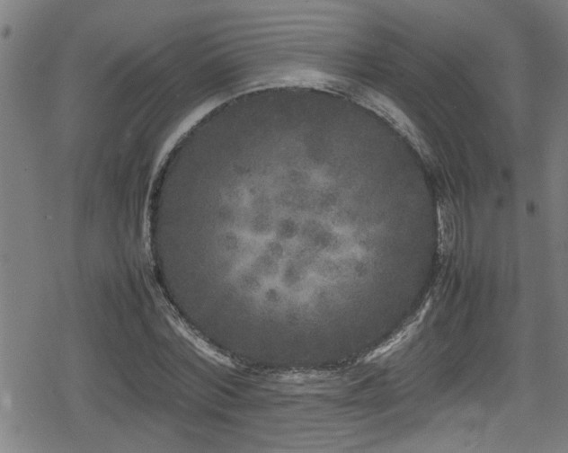 X0000078860780200611131202