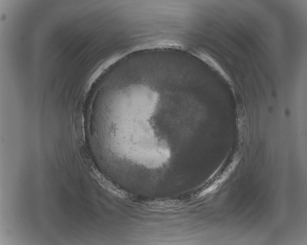 X0000078860781200611131202