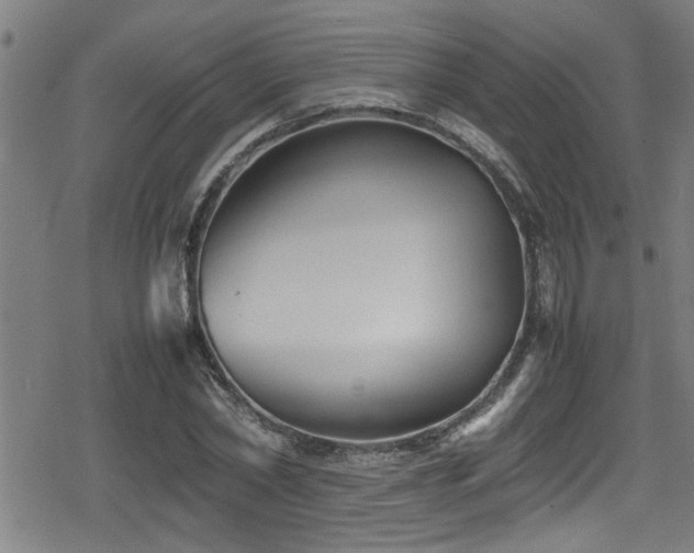 X0000078860782200611131202