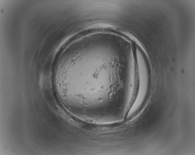 X0000078860783200611131202