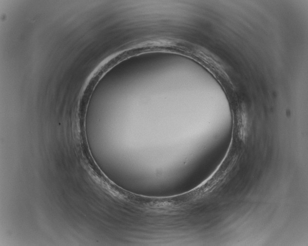 X0000078860784200611131202