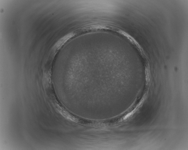 X0000078860785200611131202