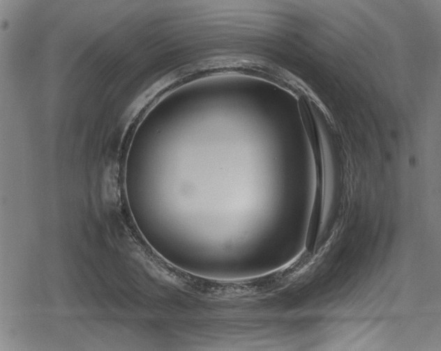 X0000078860786200611131202