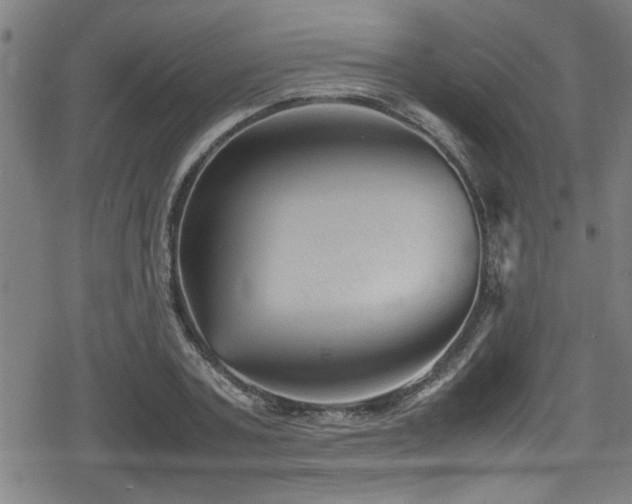 X0000078860787200611131202