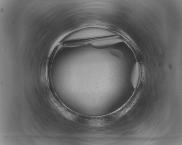 X0000078860788200611131202