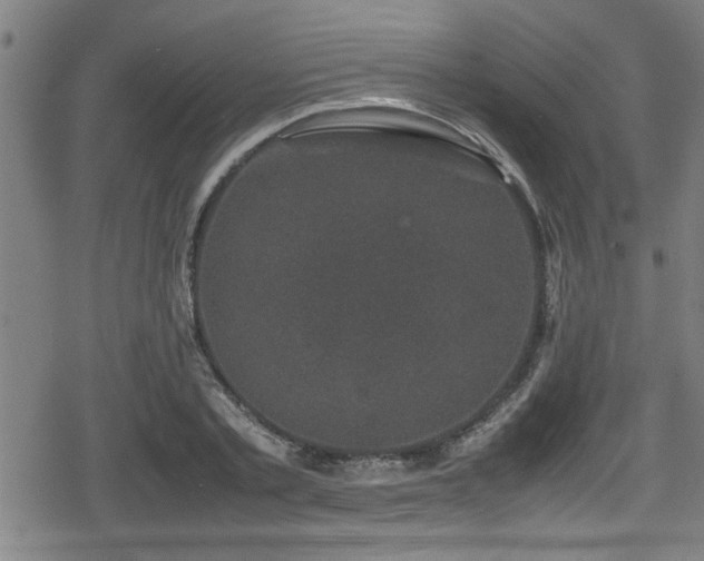 X0000078860789200611131202