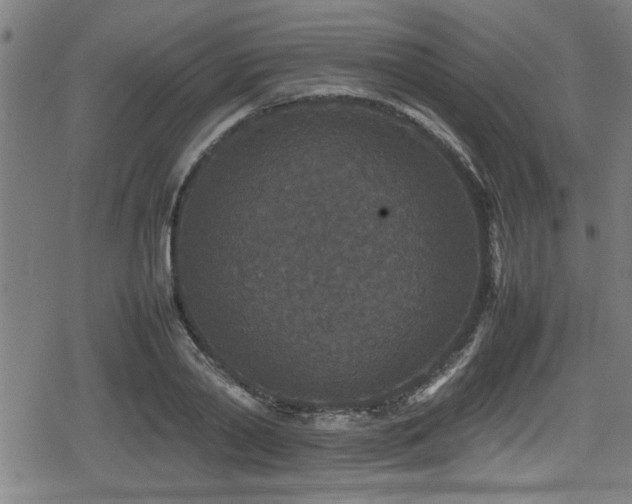 X0000078860790200611131202