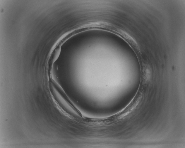 X0000078860792200611131202