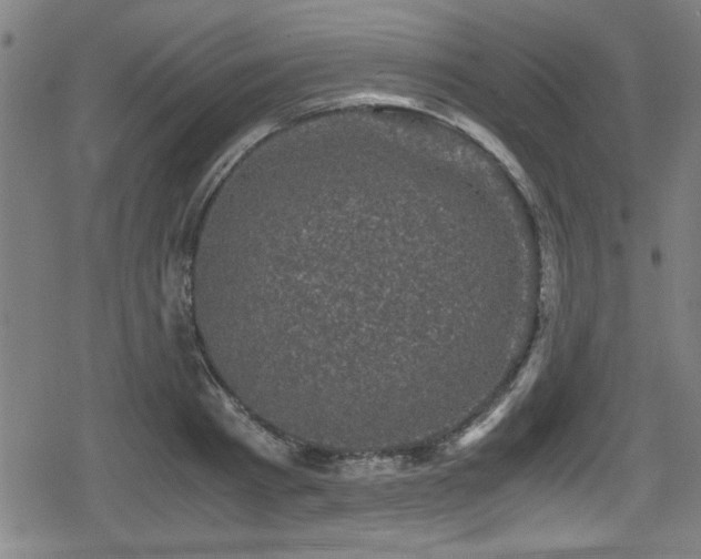 X0000078860793200611131202