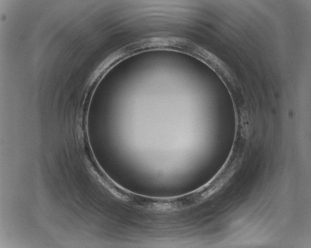 X0000078860794200611131202