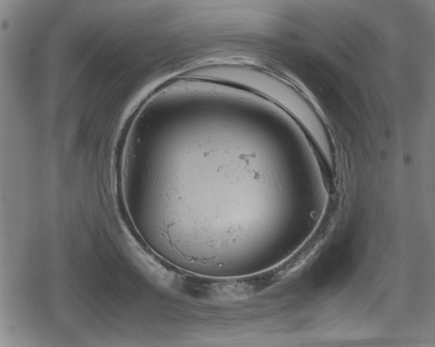 X0000078860795200611131202