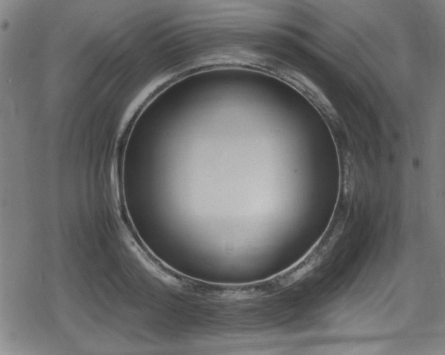 X0000078860796200611131202