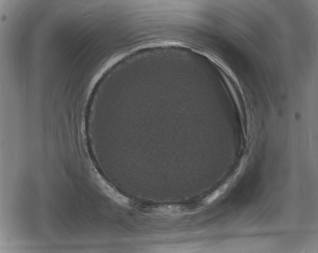 X0000078860797200611131202