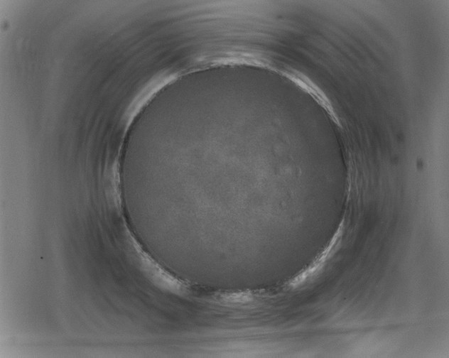 X0000078860798200611131201