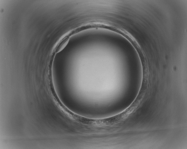 X0000078860799200611131201