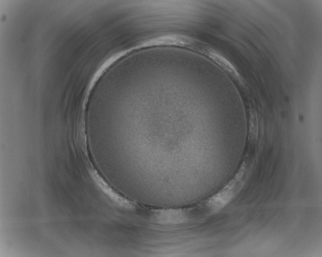 X0000078860800200611131201