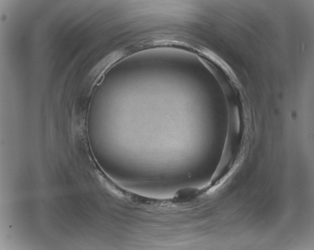 X0000078860801200611131201