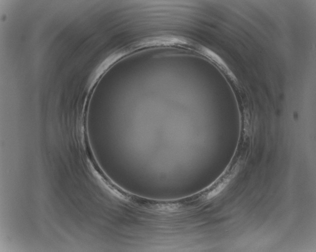 X0000078860802200611131201