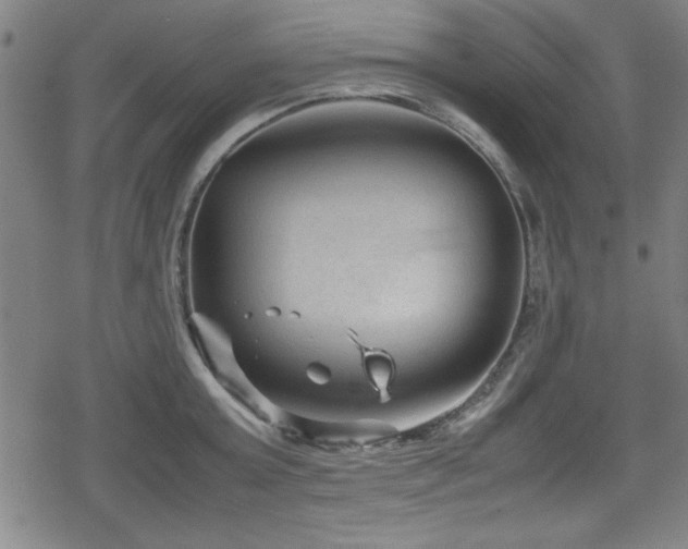 X0000078860803200611131201