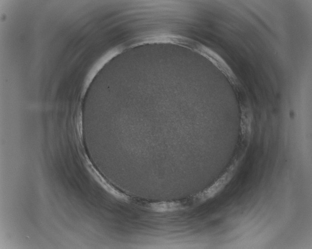 X0000078860804200611131201