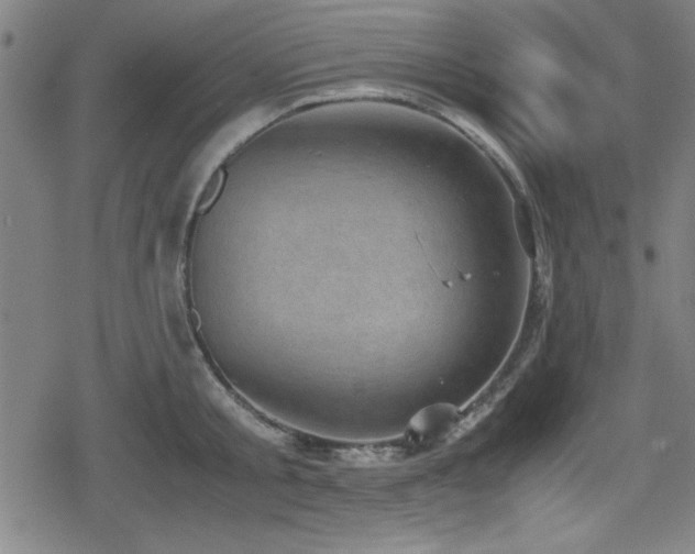 X0000078860805200611131201