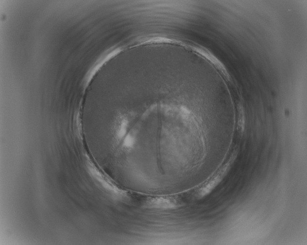 X0000078860806200611131201