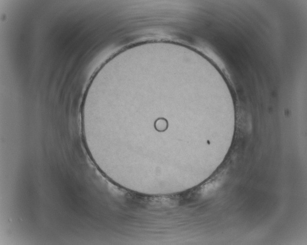 X0000078860807200611131201