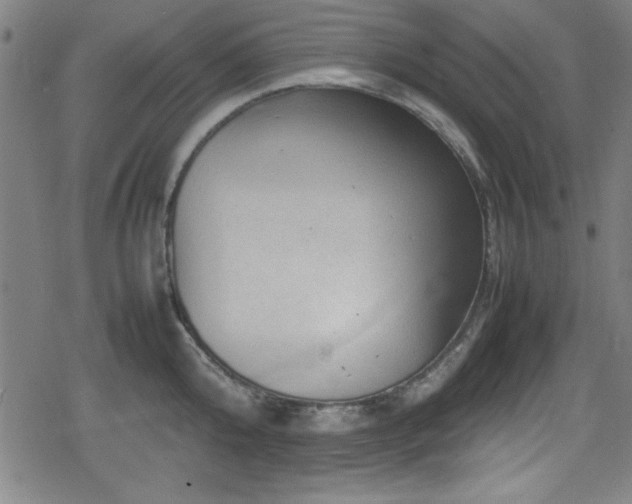 X0000078860808200611131201