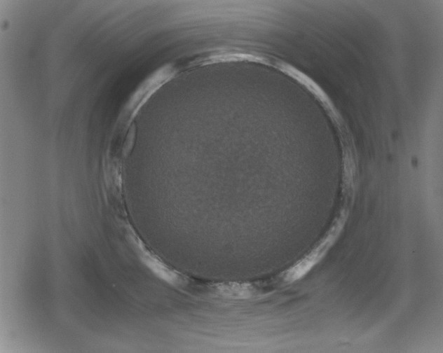 X0000078860809200611131201