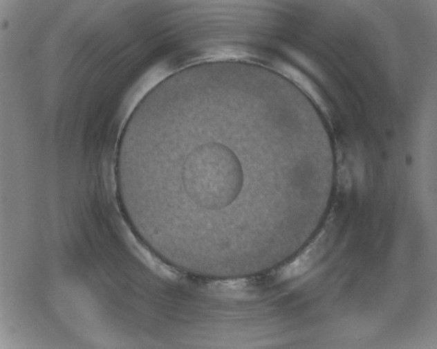 X0000078860810200611131201