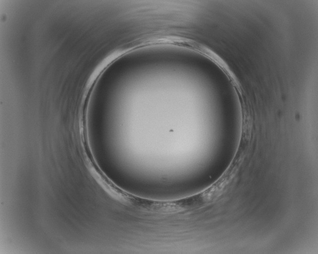 X0000078860811200611131201