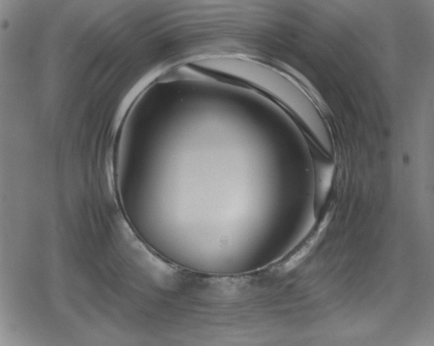 X0000078860812200611131201