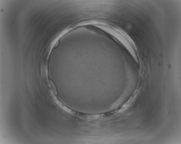 X0000078860813200611131201