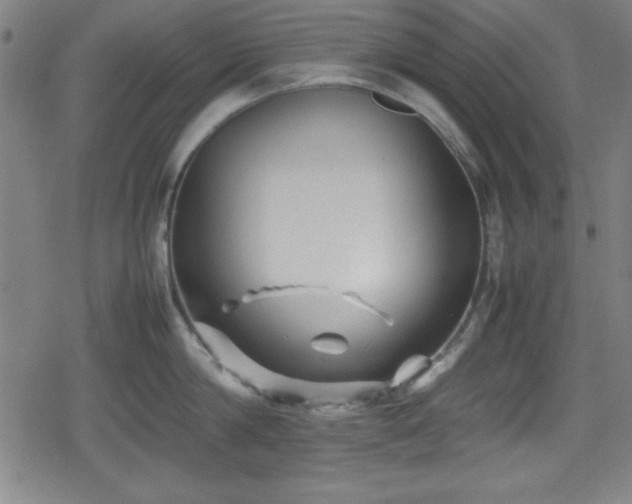 X0000078860814200611131201