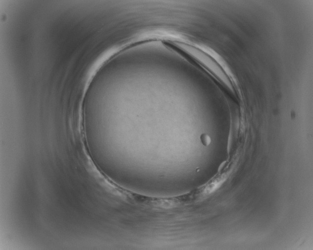 X0000078860815200611131201